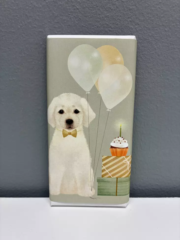 Suklaalevy, kevät - Kortit ja suklaalevyt - makeistoK6Q5 - 1