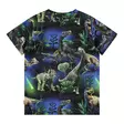 Molo lasten Ralphie T-paita dinosaurus - T-paidat - mol1W25A201a - 2