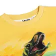 Molo lasten T-paita Riley, dinosaurus - T-paidat - molo1S26A206dab - 3