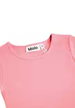 Molo trikoomekko Credence koirat - Pitkähihaiset mekot - molo2W26E221b - 3
