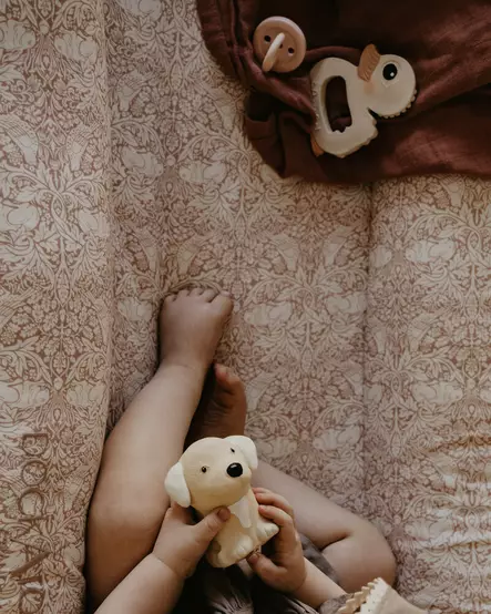 Hevea kultainennoutaja lelu - Vauvalelut - hevgoldie - 2