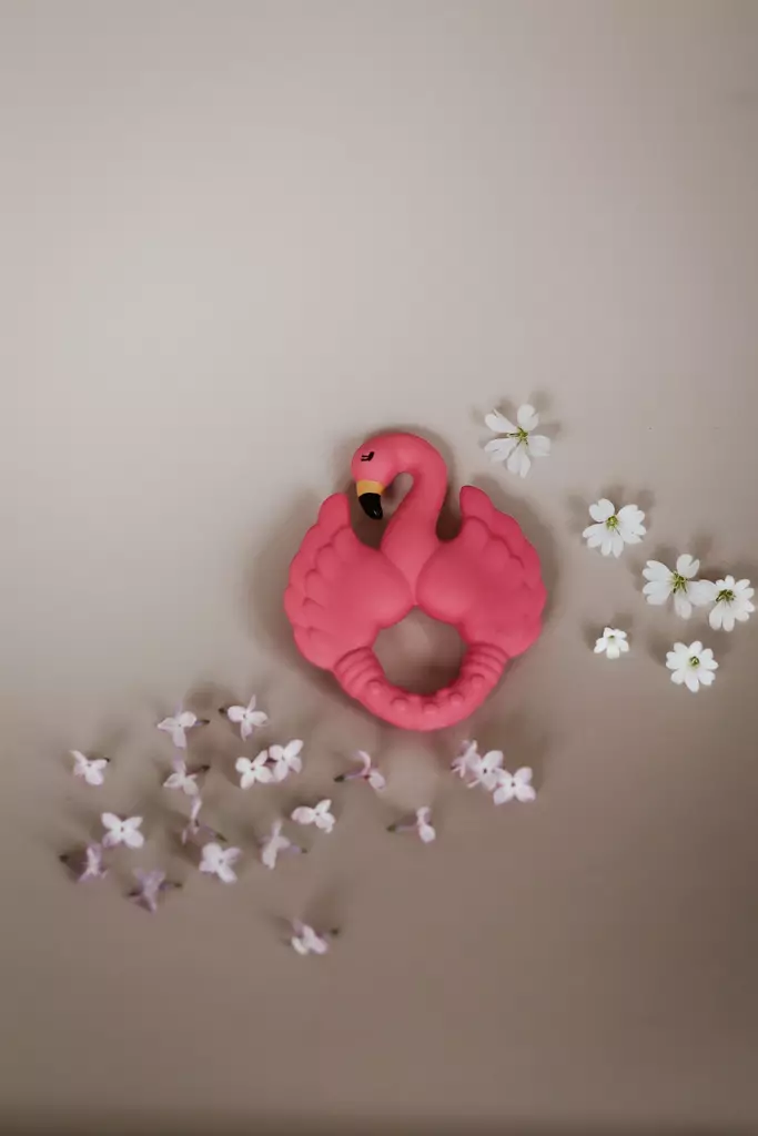 Natruba purulelu, flamingo - Purulelut - TEFLA01PK - 1